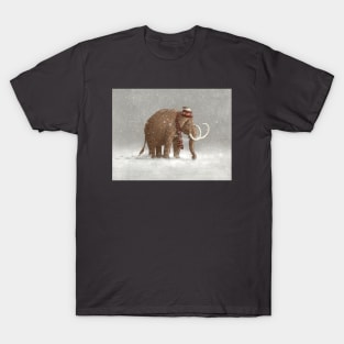 The Ice Age Sucked T-Shirt